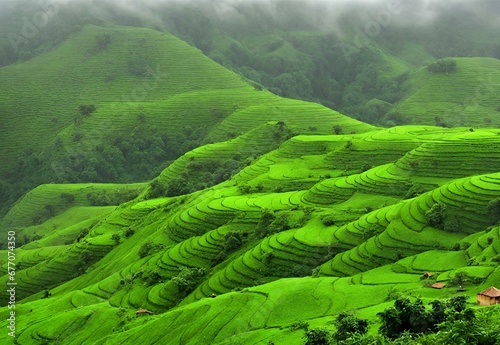 Mystic Monsoons: India's Mawsynram Rain-soaked Greens.