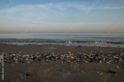 Muszle, plaża, morze - morski krajobraz o poranku