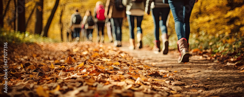 back view of the sneakers many tourist in the forest, autumn season