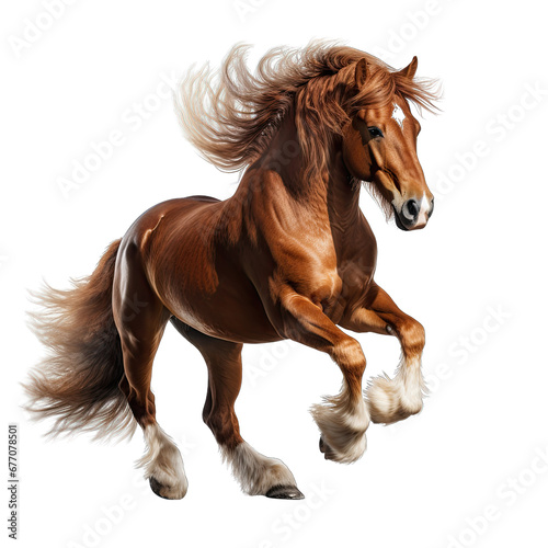 Rearing Horse on Hind Legs Isolated on Transparent or White Background  PNG