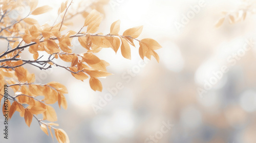 Autumn trees with leaves on light background