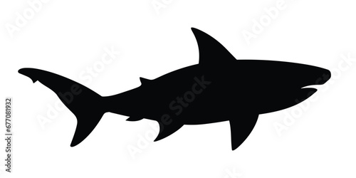 Shark Silhouette. Shark Vector illustration.