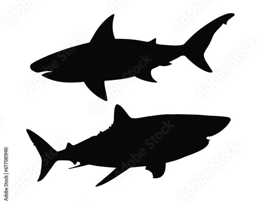 Shark Silhouette. Shark Vector illustration.