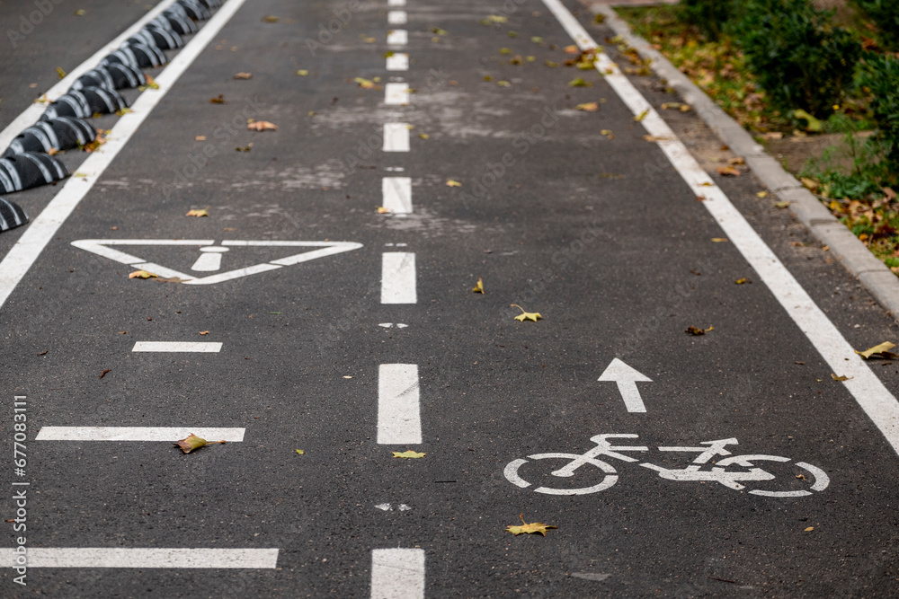Fototapeta premium bike lane and line of speed bumps