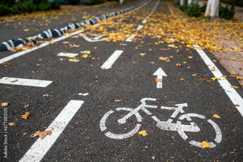 Wallpaper Mural general view with detail of bike lane in the city with dry leaves. Torontodigital.ca
