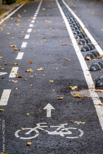 Detail of bike path in the city with dry leaves.