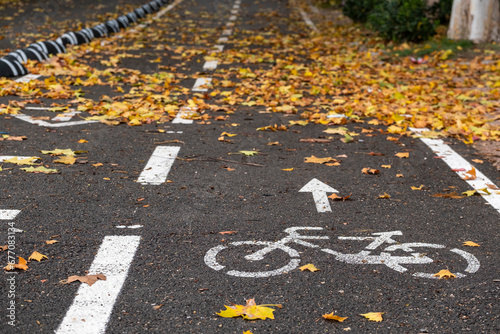 Wallpaper Mural Detail of bike path in the city with dry leaves. Torontodigital.ca