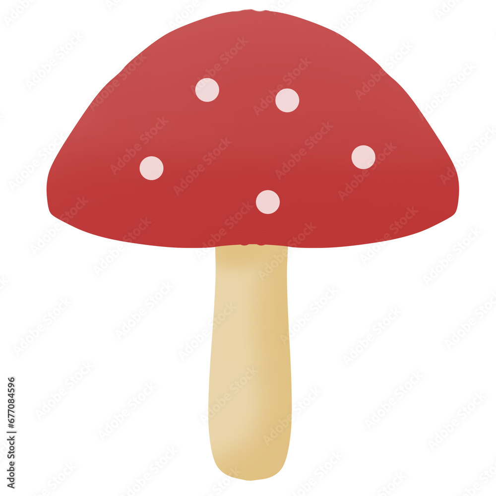 fly mushroom