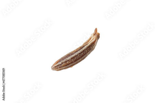 Aromatic caraway (Persian cumin) seed isolated on white