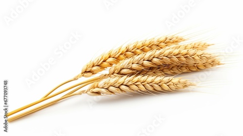Ear of wheat isolated on empty white background, created with Generative Ai technology.