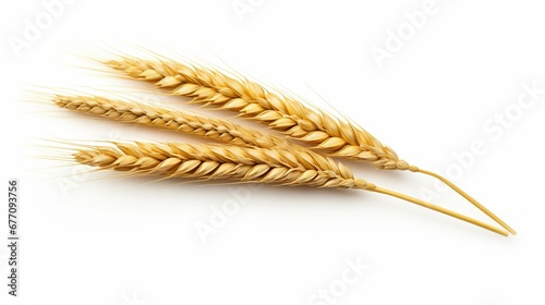 Ear of wheat isolated on empty white background, created with Generative Ai technology.