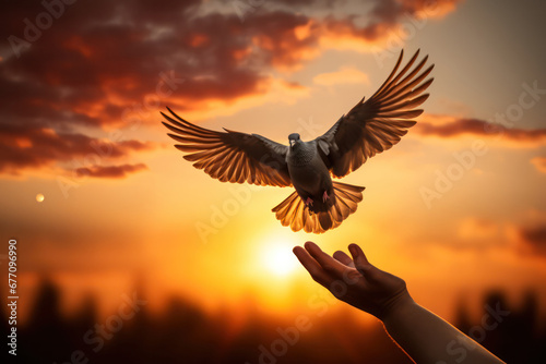 "Symbol of Freedom, Hands Releasing Dove into the Air" © pkproject