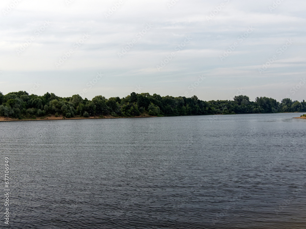 Forested river banks in summer Forested river banks in summer