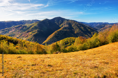 grassy meadows and forested hills in autumn. beautiful carpathian mountain landscape of apuseni national park, romania on a sunny day beneath a sky with clouds © Pellinni