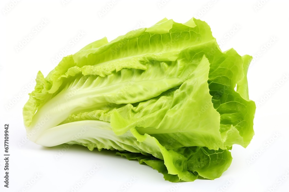 Generative AI : Fresh red and green lettuce isolated on white background.