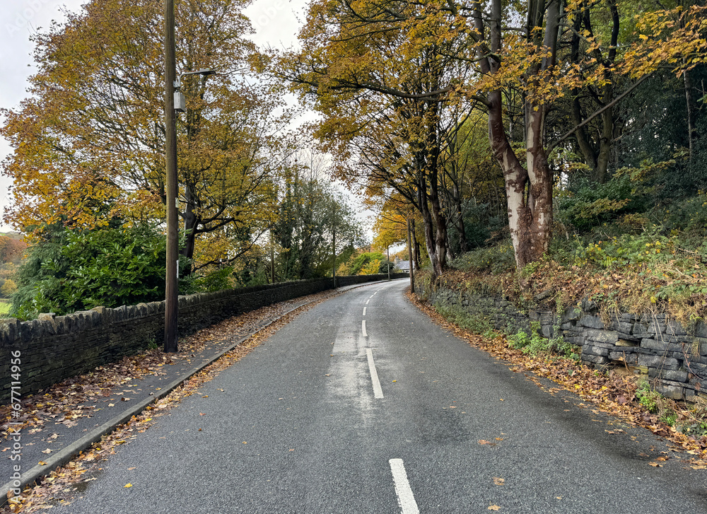 Autumn on Kell Lane, with dry stone walls, old trees, fallen leaves, and wild plants, on a rainy day near, Halifax, UK