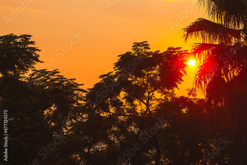 Silhouette of palm trees at sunset in the tropics. Silhouettes of majestic trees against the colorful evening sky