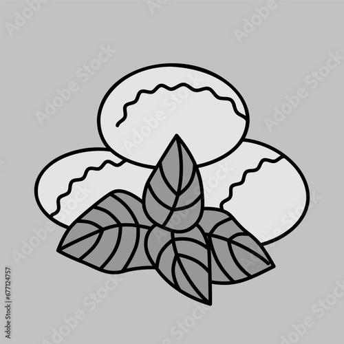 Mozzarella cheese with basil vector icon