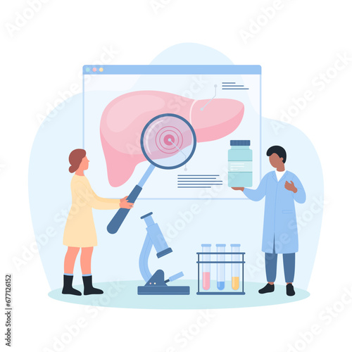 Study of liver disease, hepatology vector illustration. Cartoon tiny hepatologists with magnifying glass research anatomy infographic chart with liver, people analyzing health report for diagnosis