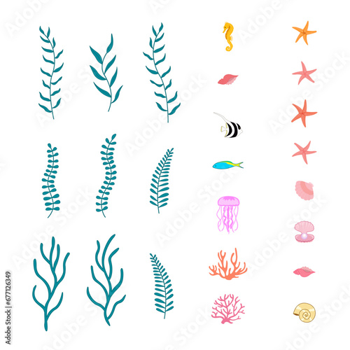 icon set marine's life vector design illustration. seahorse, starfish, batfish, jellyfish, sea animals, seaweed, seagrass, shell, pearl, conch, coral reef, algae.
