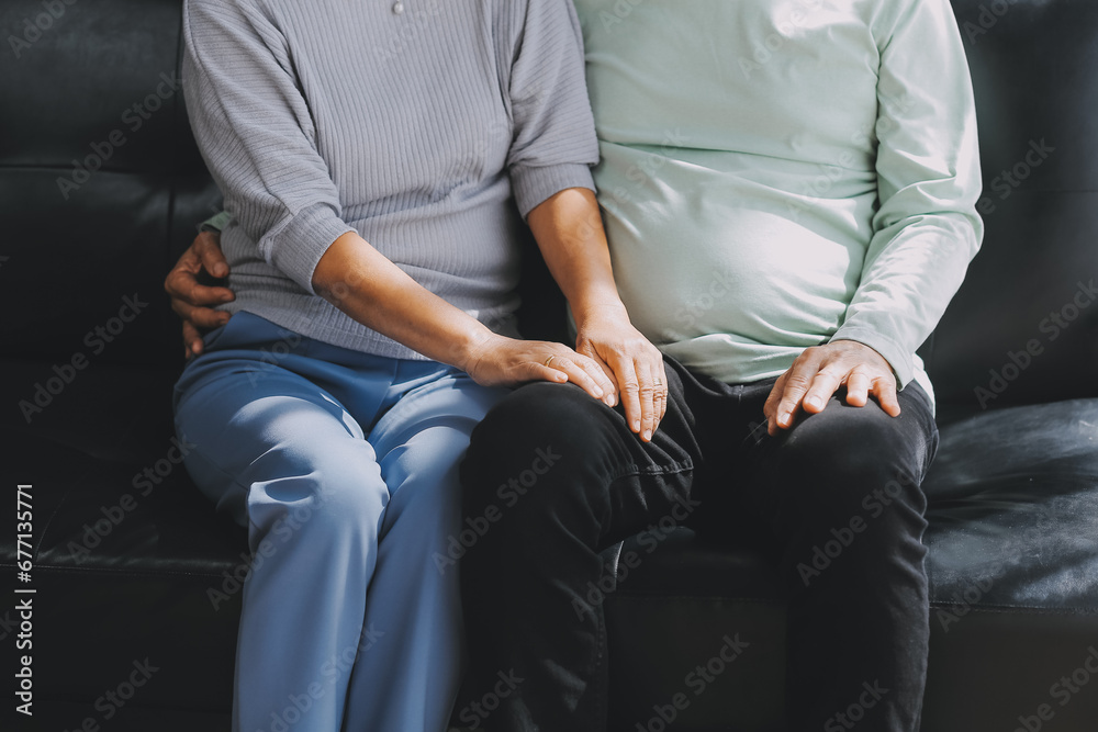 Happy mature couple using laptop at home Happy mature couple using laptop at home