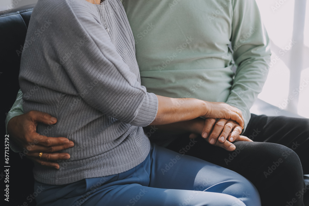 Happy mature couple using laptop at home