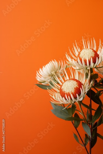Background with fresh orange gerberas for congratulations. Holiday concept.
