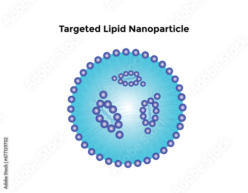 Targeted Lipid Nanoparticle Science Design Vector Design Illustration