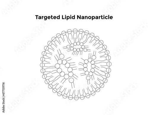 Targeted Lipid Nanoparticle Science Design Vector Design Illustration