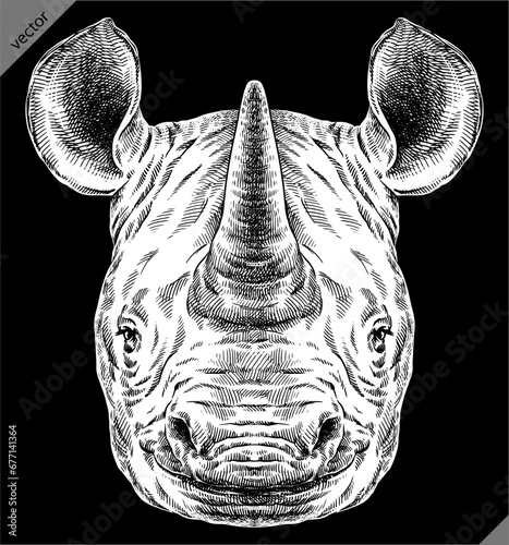 Vintage engraving isolated rhinoceros set illustration ink sketch. Africa background rhino silhouette art. Black and white hand drawn vector image