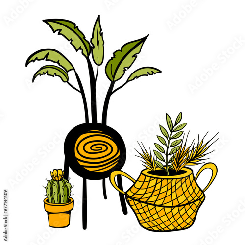 Garden Decoration With Potted Houseplant And Wicker Busket With Dried Spikelet