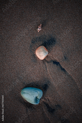 Daddy, Momma, Baby shells