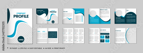 Company profile, multipage flyer brochure, 16 pages portfolio magazine, annual report, catalog and a4 multipage template design