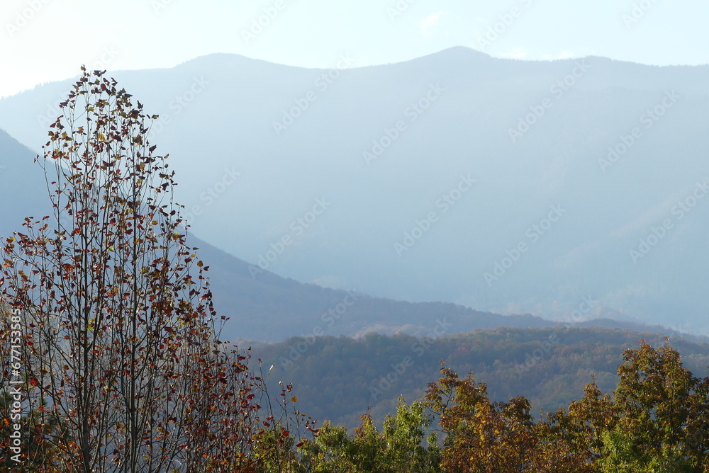 Fall colors - Great Smoky Mountains Fall colors - Great Smoky Mountains