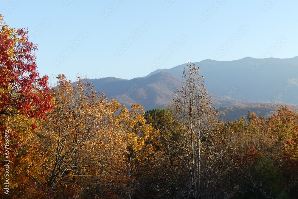 Fall colors - Great Smoky Mountains