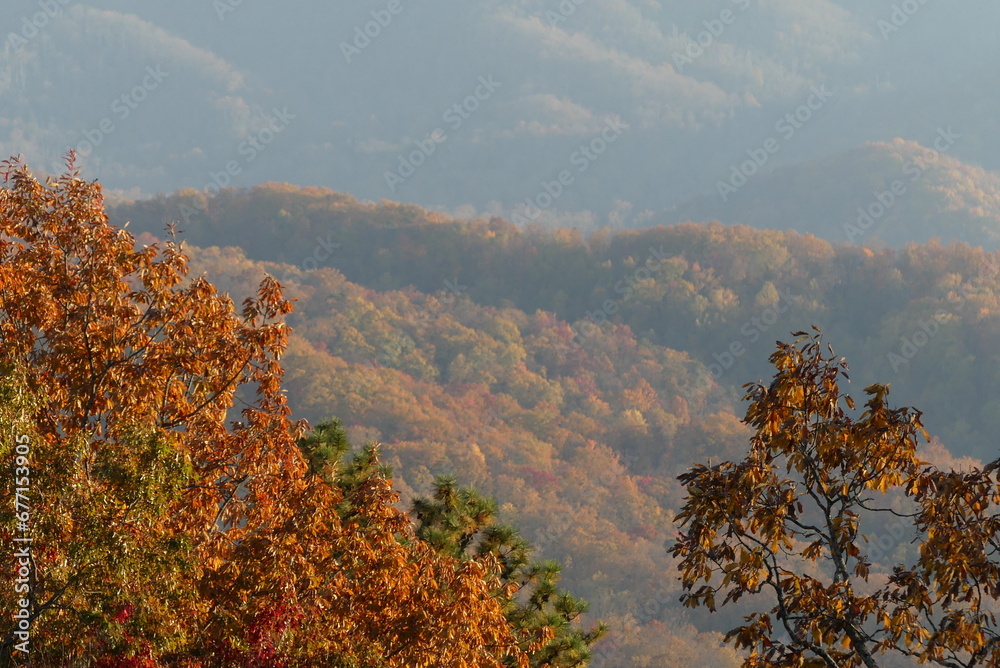 Fall colors - Great Smoky Mountains Fall colors - Great Smoky Mountains