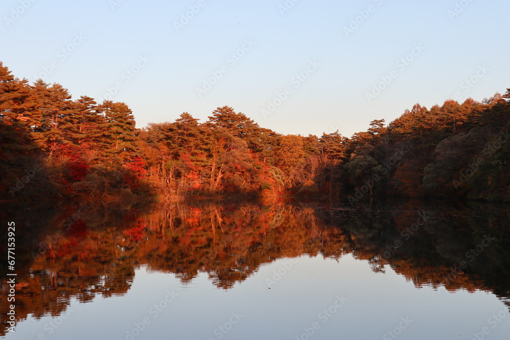 Scenery of Yanaginuma pond and autumn leaves at dusk in Goshikinuma, Urabandai, Fukushima, Japan
