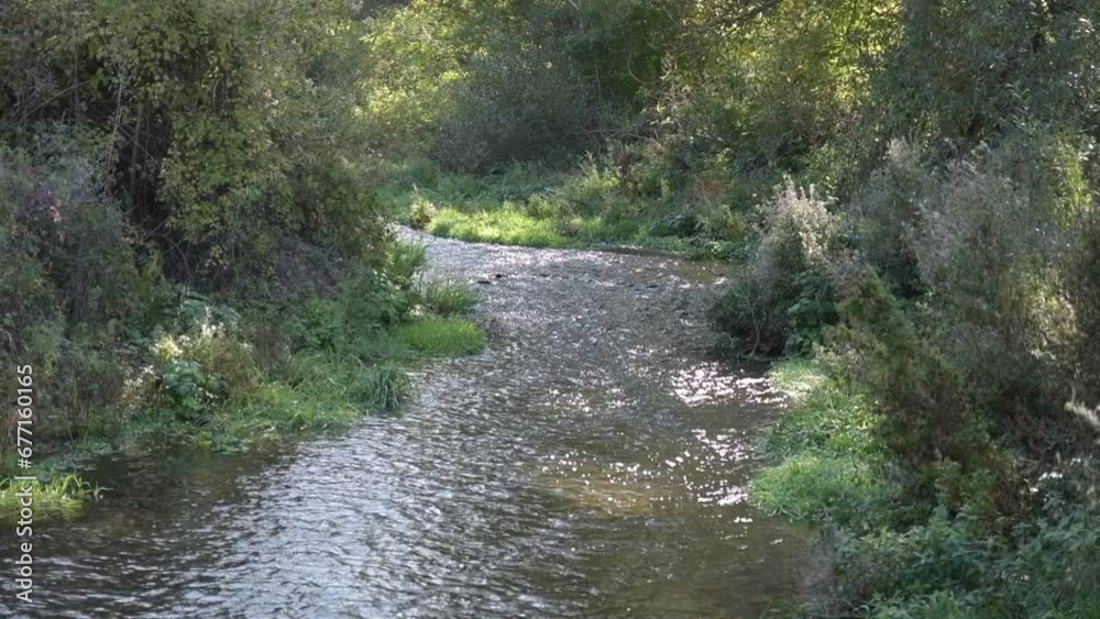 A small river that runs through the forest. Original sound. A small river that runs through the forest. Original sound.