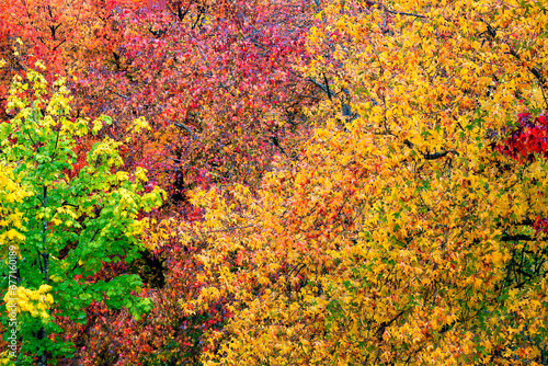 Autumnal colors background