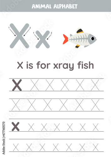 Tracing alphabet letters for kids. Animal alphabet. x is for xray fish.