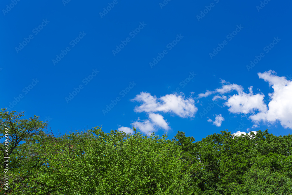 Summer sky and park scenery 31