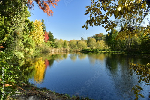 La beauté de l'automne de la végétation sauvage entourant le petit étang au domaine du château de la Hulpe au Brabant Wallon
