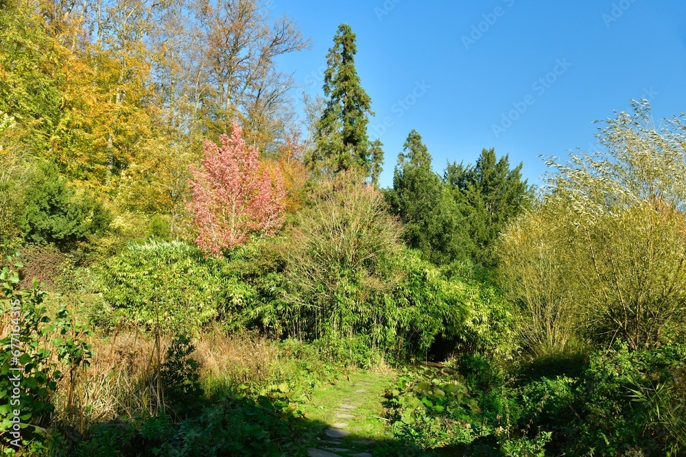La forêt aux multiple couleurs près du petit étang en automne au domaine du château de la Hulpe La forêt aux multiple couleurs près du petit étang en automne au domaine du château de la Hulpe