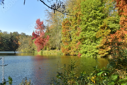 Beauté de l'automne de la végétation bucolique le long de l'étang de la Longue Queue au domaine du château de la Hulpe en Brabant Wallon photo