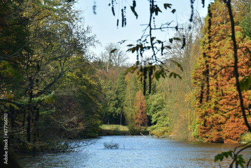 L'arbre à feuillage brun au bout de l'étang de la Longue Queue au domaine du château de la Hulpe 