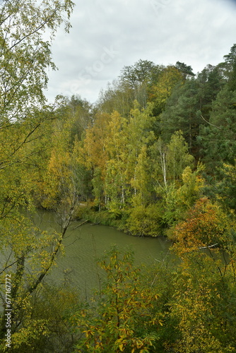 Les différents arbres de la forêt qui borde l'étang sous un ciel gris au domaine du château de la Hulpe 