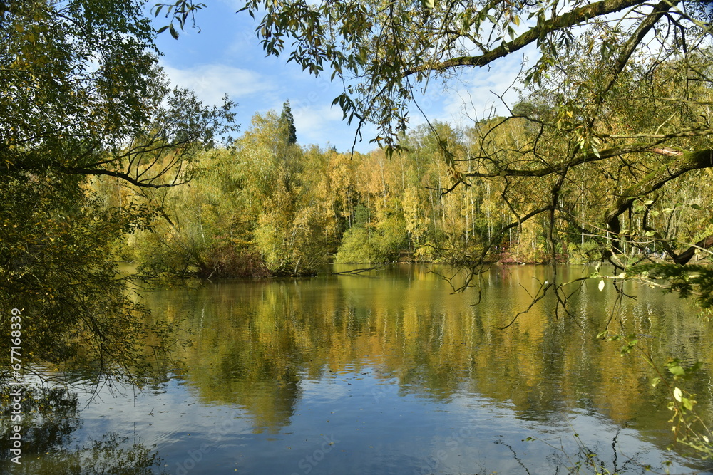 La végétation sauvage et bucolique d'automne se reflétant dans les eaux de l'étang au domaine du château de la Hulpe 