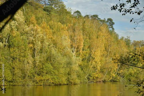 Feuillage dorée des arbres jusqu'au raz de l'eau d'une forêt très dense en automne au domaine du château de la Hulpe  photo