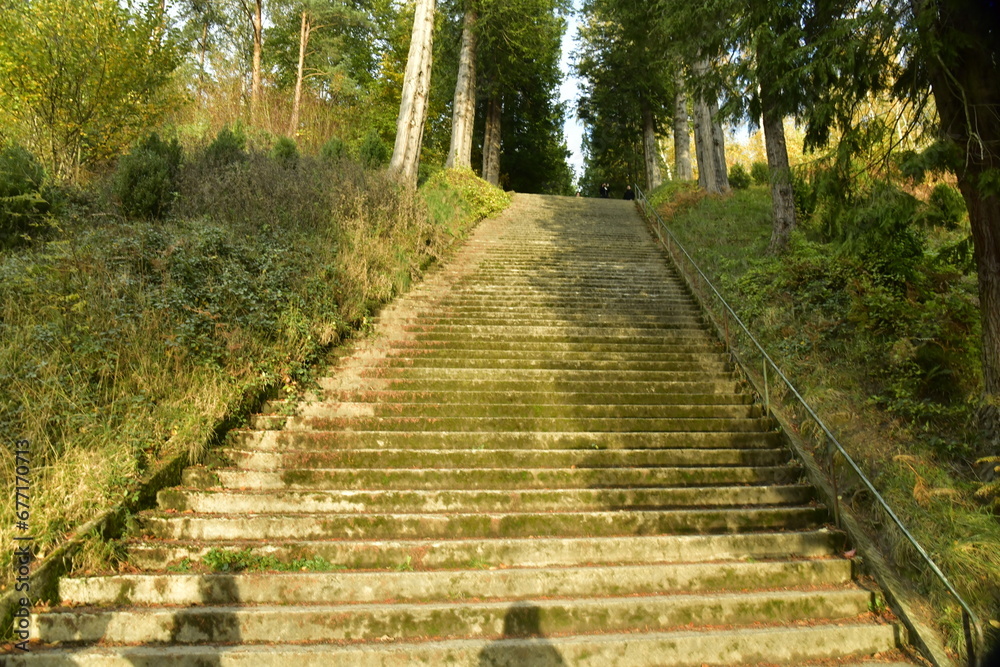 Lumière du soleil sur l'escalier monumental de l'Etang de la Longue Queue au domaine du château de la Hulpe 