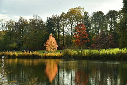 L'arbre orangé brillant dans les eaux de l'Etang de la Longue  Queue en fin de journée au domaine du château de la Hulpe  photo